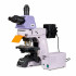 Микроскоп люминесцентный MAGUS Lum 490, D490 Микроскоп люминесцентный MAGUS Lum 490, D490
