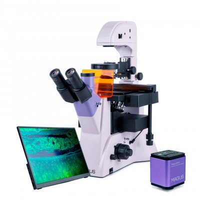 Микроскоп люминесцентный инвертированный MAGUS Lum V500L, VD500L, VD500L LCD Микроскоп люминесцентный инвертированный MAGUS Lum V500L, VD500L, VD500L LCD